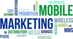 Why Mobile Enabled Shopping Carts?