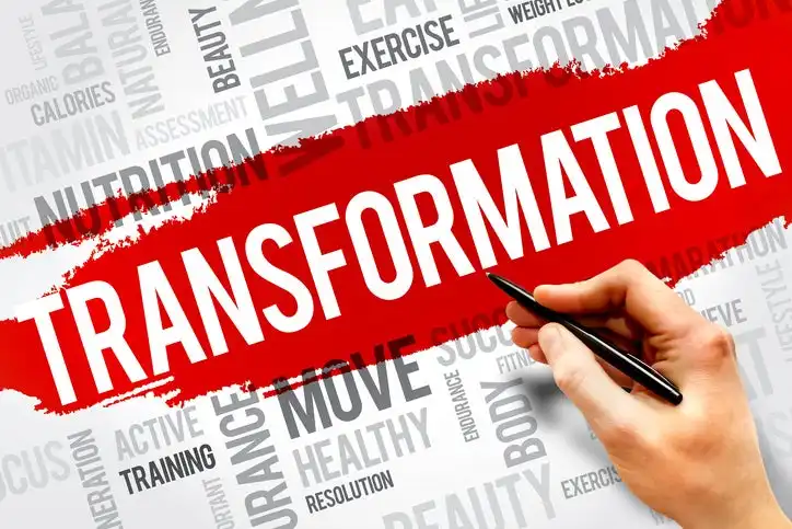 How Baytech Companies Transforms Your Business Behind the Scenes