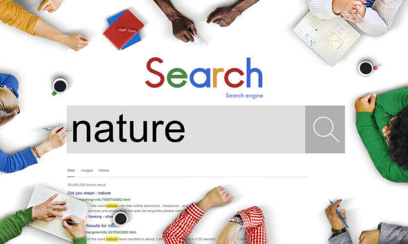 SEO Mean Organic Traffic