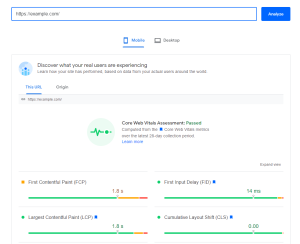 google pagespeed testing tool screenshot