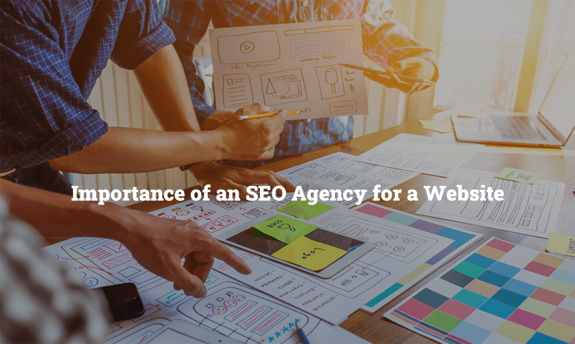 What Is the Importance of an SEO Agency for a Website?