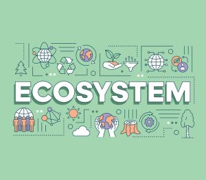 website eco system